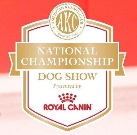 Editorial: January 6, 2023